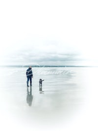 a man and his dog walking on the beach