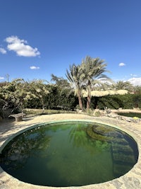 a circular pool with a palm tree in the background