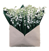 lily of the valley in an envelope