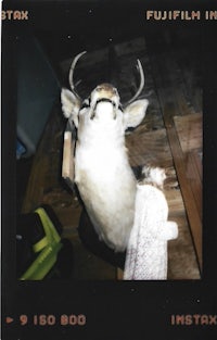 an image of a deer head with the words fujifilm in