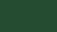 an image of a dark green background
