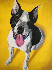 a painting of a black and white dog on a yellow background