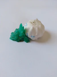 an image of a green and white garlic on a white surface