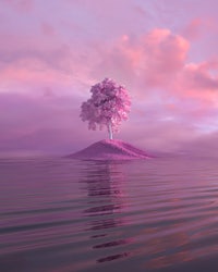 a pink tree on an island in the water