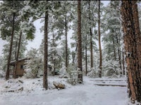 a cabin surrounded by pine trees in the snow