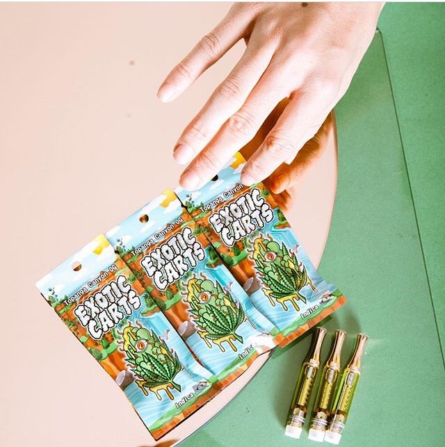 Exotic Carts Official Website