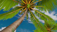 a palm tree with a blue sky in the background