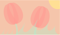 two pink tulips on a pink background