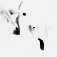 a black and white photo of a dog