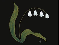 lily of the valley