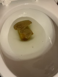 a toilet bowl with a piece of food in it