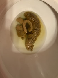 a toilet bowl with a brown substance in it
