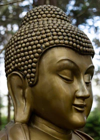 a statue of a buddha in a park