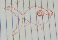 a drawing of a fish on a piece of paper