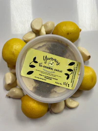 a container with lemons and garlic sitting on top of it