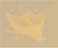 a yellow flower on a beige background