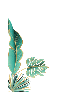a tropical leaf with gold leaves on a black background