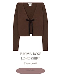 brown bow long sleeve sweater