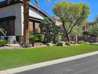 a front yard with artificial grass and palm trees