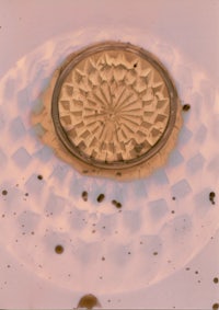 an image of a circular object in a glass of water