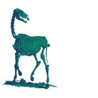 a skeleton with the words, 35 methuselah lived after eighteen hundred and fifty years