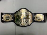a ufc championship belt on a wall