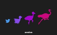 the evolution of birds and ostriches on a black background