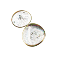 a pair of opal shaped earrings on a black background