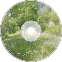 a cd with white daisies in a field