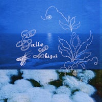 a blue cover with a flower and a moon