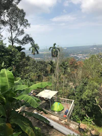 a view from the top of a hill overlooking a city