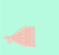 a pink butterfly on a green background