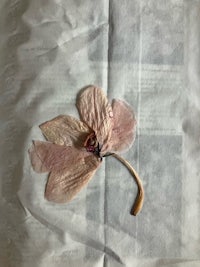 a pink flower is sitting on top of a piece of paper