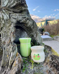two green mugs sitting on top of a tree stump