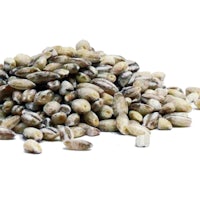 a pile of seeds on a white background