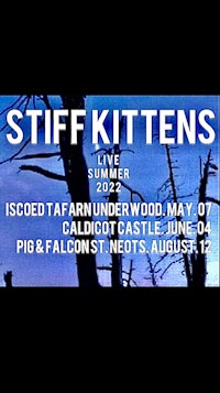 a poster with the words stuff kittens on it