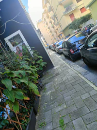 a street with cars parked on it