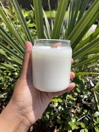 a person holding a white candle in front of a palm tree