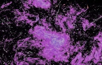 an image of a purple cloud in space