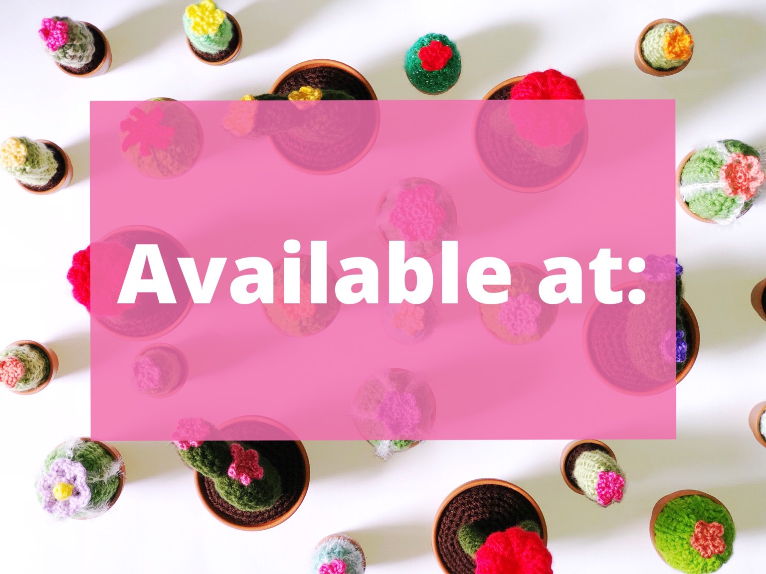 Buy In These Pittsburgh Stores Plant Lady Wannabe