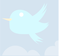 a blue bird flying in the sky