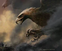 an eagle flying in the sky