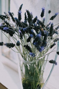 a vase of lavender flowers sitting on a window sill