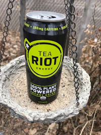 a can of tea riot energy sitting on a bird feeder