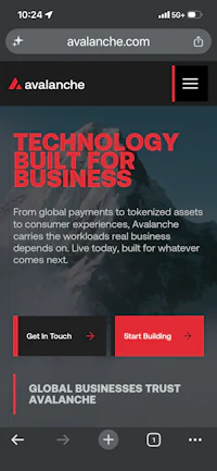 avalanche technology built for business