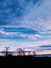 a kite flying in the sky at dusk
