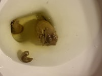 a toilet with a brown poop in it