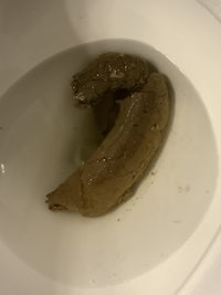 an image of a toilet with a piece of food in it