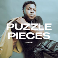 the cover of puzzle pieces by kicon