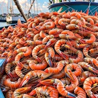 a boat with a lot of shrimp on it